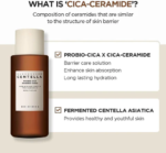 SKIN1004 Madagascar Centella Probio-Cica Essence Toner - Image 5