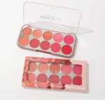 Miss Rose 10 Color New Blush Palette