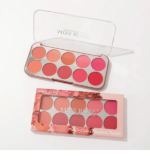 Miss Rose 10 Color New Blush Palette