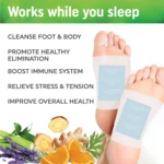 Blueberry Herbal Bamboo Foot Care Patches – Overnight Relaxation & Comfort (10 Pcs) - Image 3