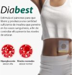 Diabest Herbal Carb & Sugar Blocker Patch – 12 Premium Wellness Patches - Image 4