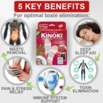 Kinoki Wolfberry Herbal Foot Pads – Goji Berry Scent Overnight Foot Care Patches (10 Pcs) - Image 4