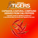 Pomada Tigers Capsaicin Knee & Joint Pain Relief Patch - Image 5