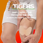Pomada Tigers Capsaicin Knee & Joint Pain Relief Patch - Image 4