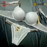 Veloura Net Luxe Double Push-Up Bra Set - Image 15