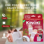 Kinoki Pro Organic Foot Pads Detox – Wolfberry Scent (10 Pieces) | Natural Overnight Foot Care Patches