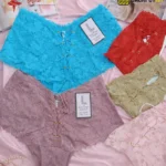 Highwaist Lace Corset Briefs
