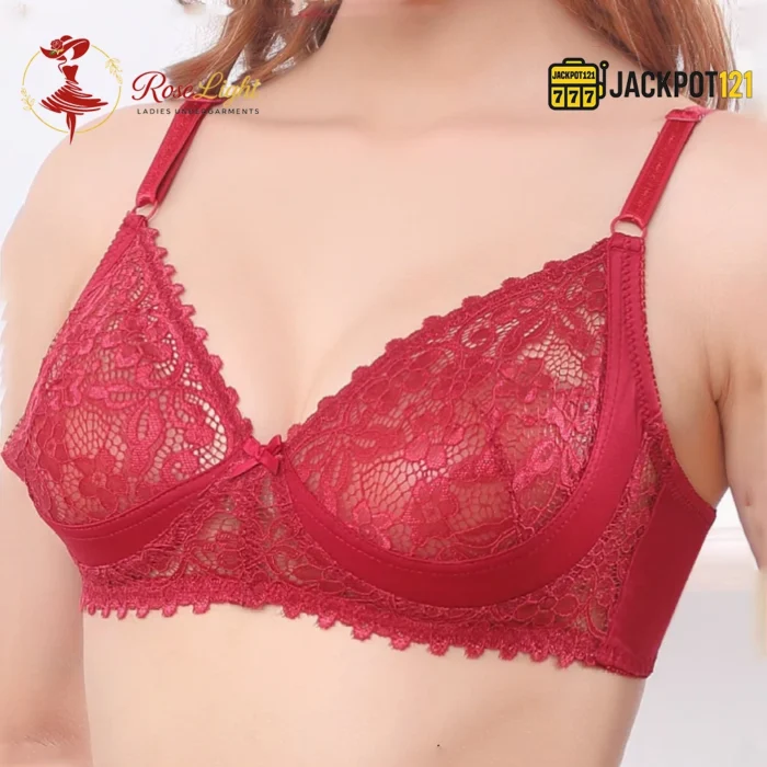 Lace Non-Padded Non-Wired Full Coverage Bra - Image 3