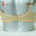 Net See through Non Wired Bra - Image 5